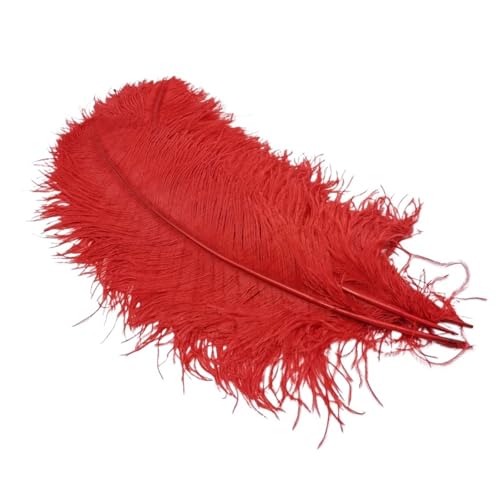 TXLEAPEY StraußEnfedern 10Pcs Straußen Federn for Handwerk Hochzeit Decor Handwerk Zubehör Tisch Mittelstücke Karneval Weihnachten(Red,15-20cm 6-8inch) von TXLEAPEY