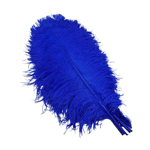 TXLEAPEY StraußEnfedern 10Pcs Straußen Federn for Handwerk Hochzeit Decor Handwerk Zubehör Tisch Mittelstücke Karneval Weihnachten(Sapphire,30-35cm 12-14inch) von TXLEAPEY