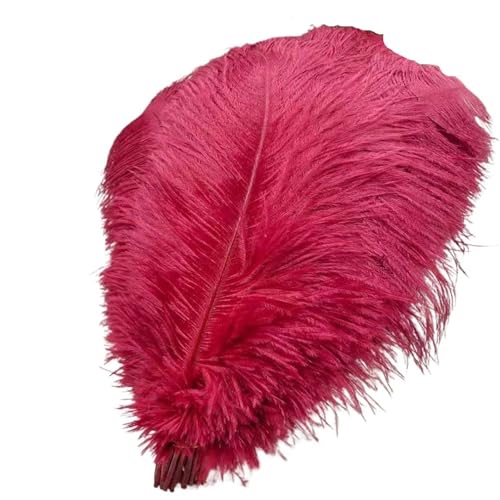 TXLEAPEY StraußEnfedern 10Pcs Straußen Federn for Handwerk Hochzeit Decor Handwerk Zubehör Tisch Mittelstücke Karneval Weihnachten(Wine red,30-35cm 12-14inch) von TXLEAPEY