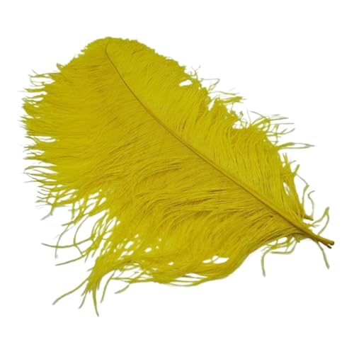 TXLEAPEY StraußEnfedern 10Pcs Straußen Federn for Handwerk Hochzeit Decor Handwerk Zubehör Tisch Mittelstücke Karneval Weihnachten(Yellow,25-30cm 10-12inch) von TXLEAPEY