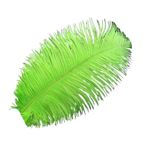 TXLEAPEY StraußEnfedern 35-40cm Schöne Farbige Straußenfedern DIY Schmuck Zubehör Hochzeit Dekorationen Plume Straußen(Green,100PCS) von TXLEAPEY