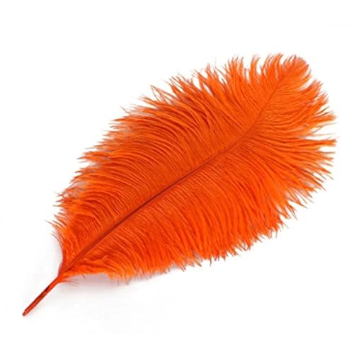 TXLEAPEY StraußEnfedern 35-40cm Schöne Farbige Straußenfedern DIY Schmuck Zubehör Hochzeit Dekorationen Plume Straußen(Orange,100PCS) von TXLEAPEY