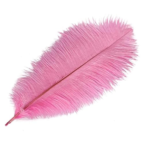 TXLEAPEY StraußEnfedern 35-40cm Schöne Farbige Straußenfedern DIY Schmuck Zubehör Hochzeit Dekorationen Plume Straußen(Pink,100PCS) von TXLEAPEY