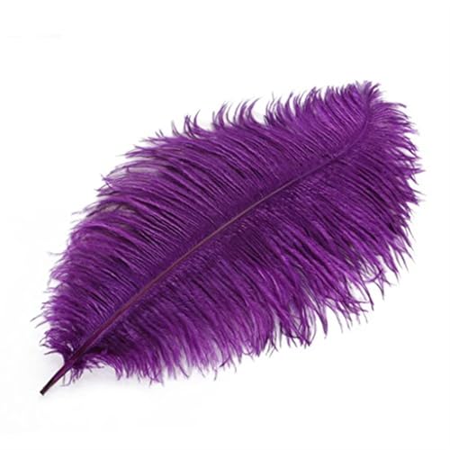 TXLEAPEY StraußEnfedern 35-40cm Schöne Farbige Straußenfedern DIY Schmuck Zubehör Hochzeit Dekorationen Plume Straußen(Purple,100PCS) von TXLEAPEY