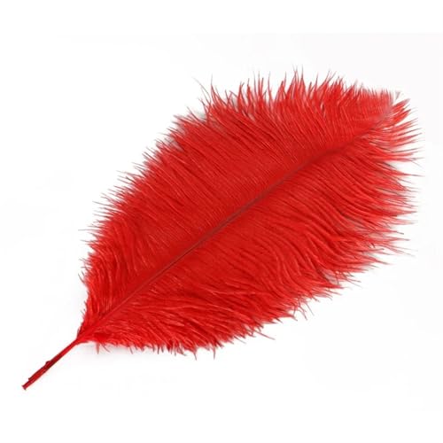 TXLEAPEY StraußEnfedern 35-40cm Schöne Farbige Straußenfedern DIY Schmuck Zubehör Hochzeit Dekorationen Plume Straußen(Red,20PCS) von TXLEAPEY