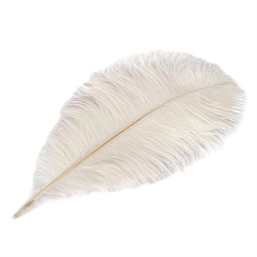 TXLEAPEY StraußEnfedern 35-40cm Schöne Farbige Straußenfedern DIY Schmuck Zubehör Hochzeit Dekorationen Plume Straußen(White,100PCS) von TXLEAPEY