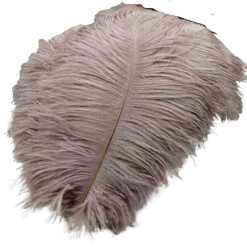 TXLEAPEY StraußEnfedern 50 Stücke Weiße Straußenfedern for Handwerk 35-60CM Karneval Kostüme Party Hause Hochzeit Dekorationen Plumes(Bean Paste,35-40cm 14-16inch) von TXLEAPEY