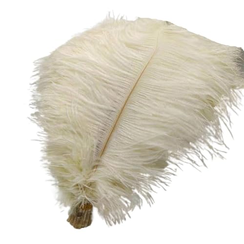 TXLEAPEY StraußEnfedern 50 Stücke Weiße Straußenfedern for Handwerk 35-60CM Karneval Kostüme Party Hause Hochzeit Dekorationen Plumes(Beige,40-45cm 16-18inch) von TXLEAPEY