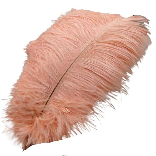 TXLEAPEY StraußEnfedern 50 Stücke Weiße Straußenfedern for Handwerk 35-60CM Karneval Kostüme Party Hause Hochzeit Dekorationen Plumes(Blood Tooth,35-40cm 14-16inch) von TXLEAPEY