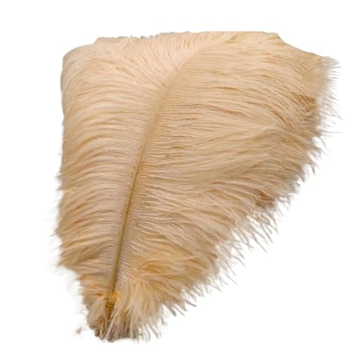 TXLEAPEY StraußEnfedern 50 Stücke Weiße Straußenfedern for Handwerk 35-60CM Karneval Kostüme Party Hause Hochzeit Dekorationen Plumes(Champagne,40-45cm 16-18inch) von TXLEAPEY