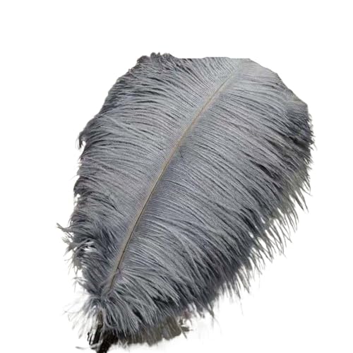 TXLEAPEY StraußEnfedern 50 Stücke Weiße Straußenfedern for Handwerk 35-60CM Karneval Kostüme Party Hause Hochzeit Dekorationen Plumes(Grey,40-45cm 16-18inch) von TXLEAPEY