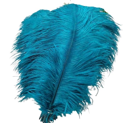 TXLEAPEY StraußEnfedern 50 Stücke Weiße Straußenfedern for Handwerk 35-60CM Karneval Kostüme Party Hause Hochzeit Dekorationen Plumes(Kong LAN,35-40cm 14-16inch) von TXLEAPEY