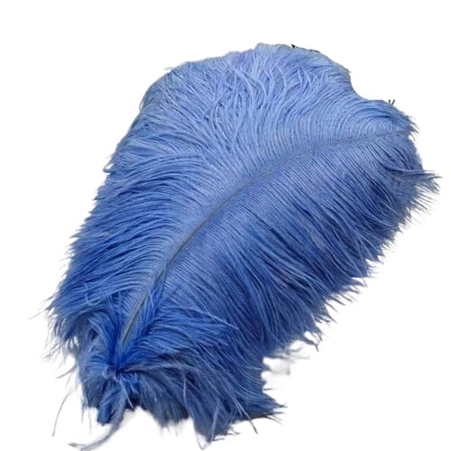 TXLEAPEY StraußEnfedern 50 Stücke Weiße Straußenfedern for Handwerk 35-60CM Karneval Kostüme Party Hause Hochzeit Dekorationen Plumes(Light Blue,35-40cm 14-16inch) von TXLEAPEY