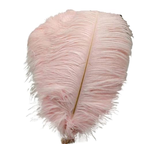 TXLEAPEY StraußEnfedern 50 Stücke Weiße Straußenfedern for Handwerk 35-60CM Karneval Kostüme Party Hause Hochzeit Dekorationen Plumes(Light pink,40-45cm 16-18inch) von TXLEAPEY