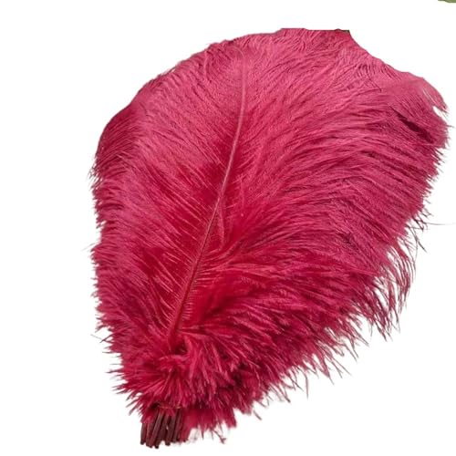 TXLEAPEY StraußEnfedern 50 Stücke Weiße Straußenfedern for Handwerk 35-60CM Karneval Kostüme Party Hause Hochzeit Dekorationen Plumes(Wine red,40-45cm 16-18inch) von TXLEAPEY