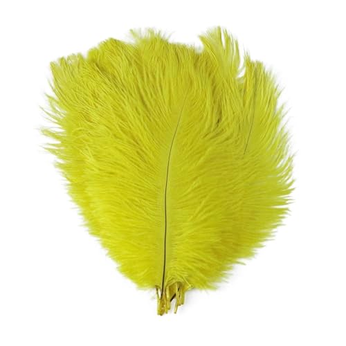 TXLEAPEY StraußEnfedern Straußenfedern for Hochzeitsdekoration, Bastelzubehör, DIY-Traumfänger, 15–55 cm, Federdekor, 10 Stück(09 Yellow,25-30cm 10-12inch) von TXLEAPEY