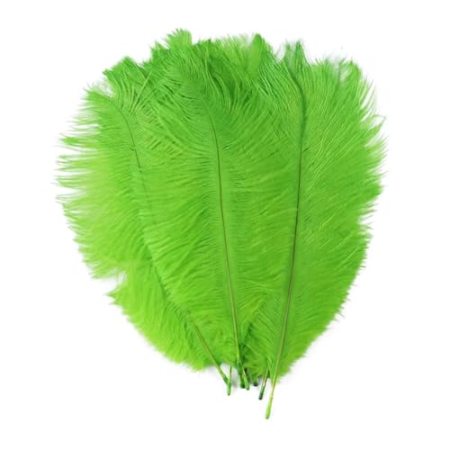 TXLEAPEY StraußEnfedern Straußenfedern for Hochzeitsdekoration, Bastelzubehör, DIY-Traumfänger, 15–55 cm, Federdekor, 10 Stück(10 Green,45-50cm 18-20inch) von TXLEAPEY