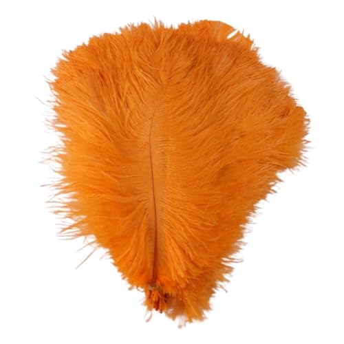 TXLEAPEY StraußEnfedern Straußenfedern for Hochzeitsdekoration, Bastelzubehör, DIY-Traumfänger, 15–55 cm, Federdekor, 10 Stück(11 Orange,30-35cm 12-14inch) von TXLEAPEY