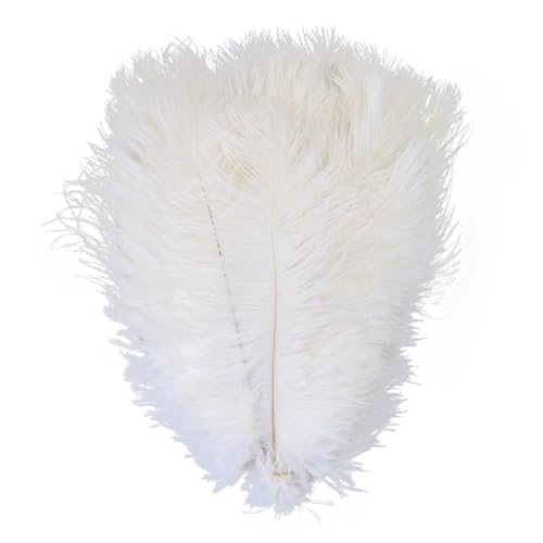 TXLEAPEY StraußEnfedern Straußenfedern for Hochzeitsdekoration, Bastelzubehör, DIY-Traumfänger, 15–55 cm, Federdekor, 10 Stück(12 White,30-35cm 12-14inch) von TXLEAPEY