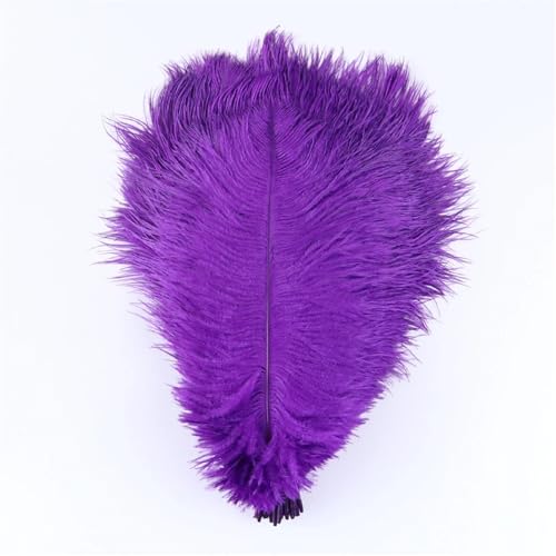 TXLEAPEY StraußEnfedern Straußenfedern for Hochzeitsdekoration, Bastelzubehör, DIY-Traumfänger, 15–55 cm, Federdekor, 10 Stück(15 Purple,45-50cm 18-20inch) von TXLEAPEY