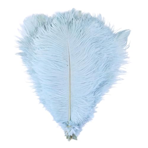 TXLEAPEY StraußEnfedern Straußenfedern for Hochzeitsdekoration, Bastelzubehör, DIY-Traumfänger, 15–55 cm, Federdekor, 10 Stück(27 Light Blue,45-50cm 18-20inch) von TXLEAPEY