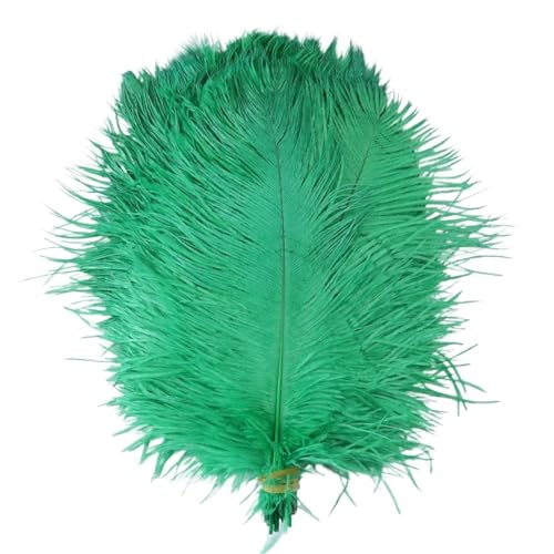 TXLEAPEY StraußEnfedern Straußenfedern for Hochzeitsdekoration, Bastelzubehör, DIY-Traumfänger, 15–55 cm, Federdekor, 10 Stück(40 Grass Green,15-20cm 6-8inch) von TXLEAPEY