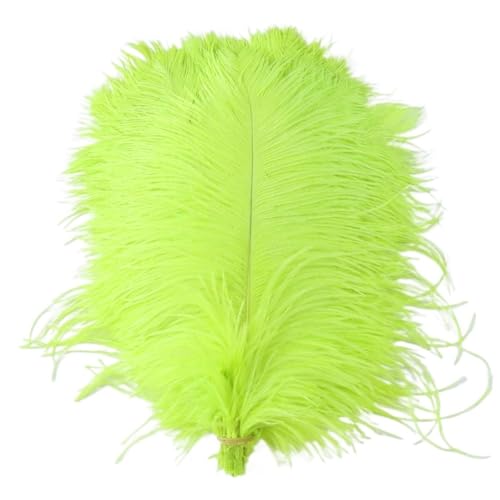 TXLEAPEY StraußEnfedern Straußenfedern for Hochzeitsdekoration, Bastelzubehör, DIY-Traumfänger, 15–55 cm, Federdekor, 10 Stück(55 Fluorescent Green,30-35cm 12-14inch) von TXLEAPEY