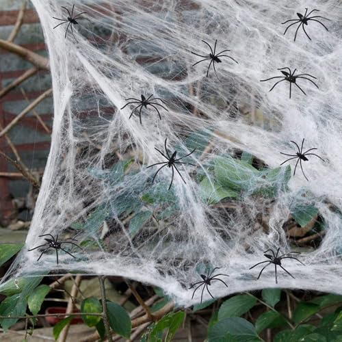 TYXHXTF Halloween Deko Spinnennetz, 200g Gruselig Spinnennetz mit 60 Schwarz Spinnen für Innen, Außen, Häuser, Garten, Spukhaus & Party Zubehör - Weiß von TYXHXTF