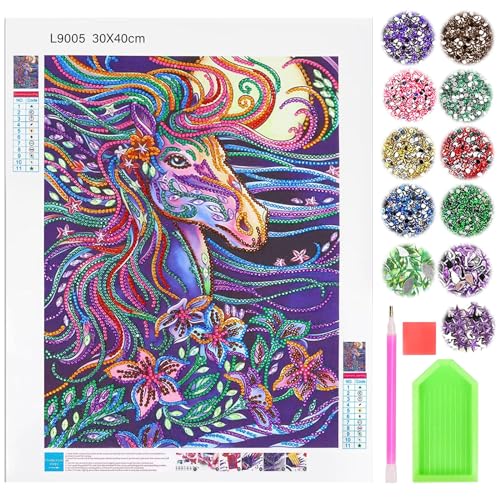 TZQFROCE 5D Diamant Painting Pferde Diamant Painting Geschenke für Mädchen 8 9 10 11 12 Jahre Diamond Painting Bilder Einhorn 30x40cm Pferde Diamond Painting Kit für Kinder und Erwachsene von TZQFROCE