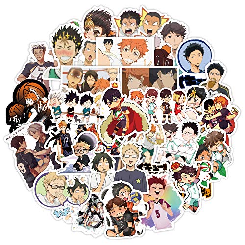 Haikyuu Sticker Pack 100 Stück, Vinyl Aufkleber für Wasserflaschen Laptop Skateboard Notebook, Geschenk für Erwachsene Kinder Teens von Tacomexi