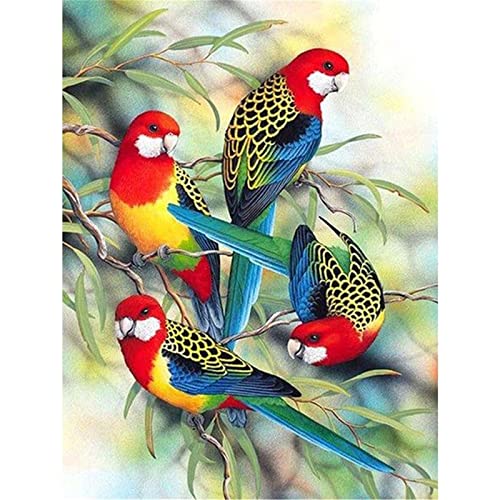 DIY 5D Diamond Painting Set,Blume Vogel Voll Bohrer Diamant Malerei Bilder Kits für Erwachsene Kinder,Kristall Strass Stickerei Kreuzstich Arts Craft für Home Wall Décor Geschenk 30x50cm von Tainrun