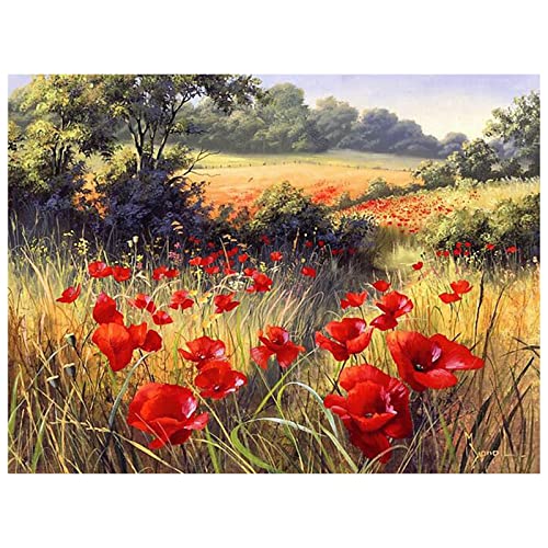 DIY 5D Diamond Painting Set,Mohnblume Voll Bohrer Diamant Malerei Bilder Kits für Erwachsene Kinder,Kristall Strass Stickerei Kreuzstich Arts Craft für Home Wall Décor Geschenk 30x50cm von Tainrun