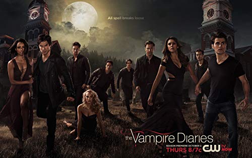 DIY 5D Diamond Painting Kits The Vampire Diaries Season 5, Geschenk, 30 x 40 cm, Mosaik-Stickerei, Heimdekoration, handgefertigte Geschenke von Fiico