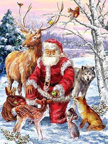 Tamseen 5d Diamond Painting Weihnachtsmann Kits, DIY Diamond Painting zubehör Tier, Diamant Malerei Bild Kinder Erwachsene Strass Kreuzstich Sets Für Stickerei Wanddekoration 30X40cm von Tamseen