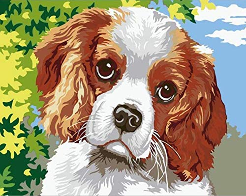 Tamseen DIY Diamond Painting Hund, 5D Diamant Painting Bilder Erwachsene Tiere, Diamant Painting Bilder Kinder Kunst Strass Stickerei Sets, für Home Wanddekoration 30X40 cm von Tamseen