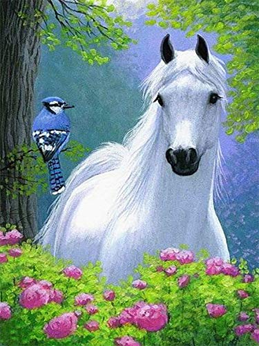 Tamseen DIY Diamond Painting Pferd, 5D Diamant Painting Bilder Erwachsene Tiere, Diamant Painting Bilder Kinder Kunst Strass Stickerei Sets, für Home Wanddekoration 30X40 cm von Tamseen