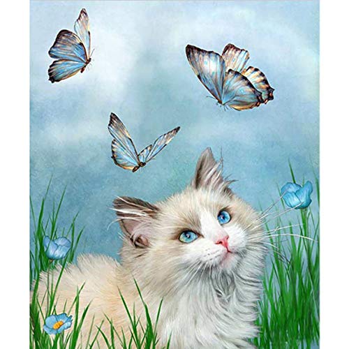 Tamseen DIY Diamond Painting Schmetterling Katze, 5D Diamant Painting Bilder Erwachsene Tiere, Diamant Painting Bilder Kinder Kunst Strass Stickerei Sets, für Home Wanddekoration 30X40 cm von Tamseen