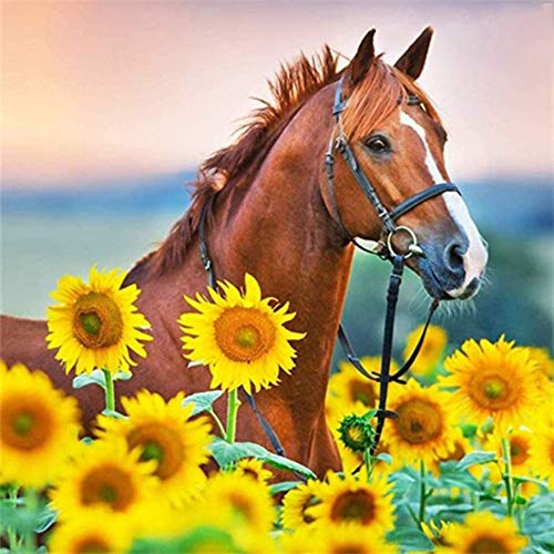 Tamseen DIY Diamond Painting Sonnenblume Pferd, 5D Diamant Painting Bilder Erwachsene Tiere, Diamant Painting Bilder Kinder Kunst Strass Stickerei Sets, für Home Wanddekoration 35X35 cm von Tamseen