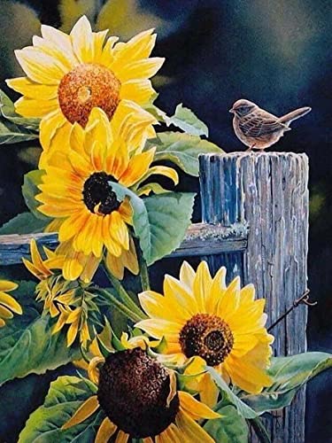 Tamseen DIY Diamond Painting Tiere Vogel, 5D Diamant Painting Bilder Sonnenblume, Diamant Painting Kunst Bild Kinder Erwachsene Strass Kreuzstich Sets Für Stickerei Die Wände dekorieren 30X40 cm von Tamseen