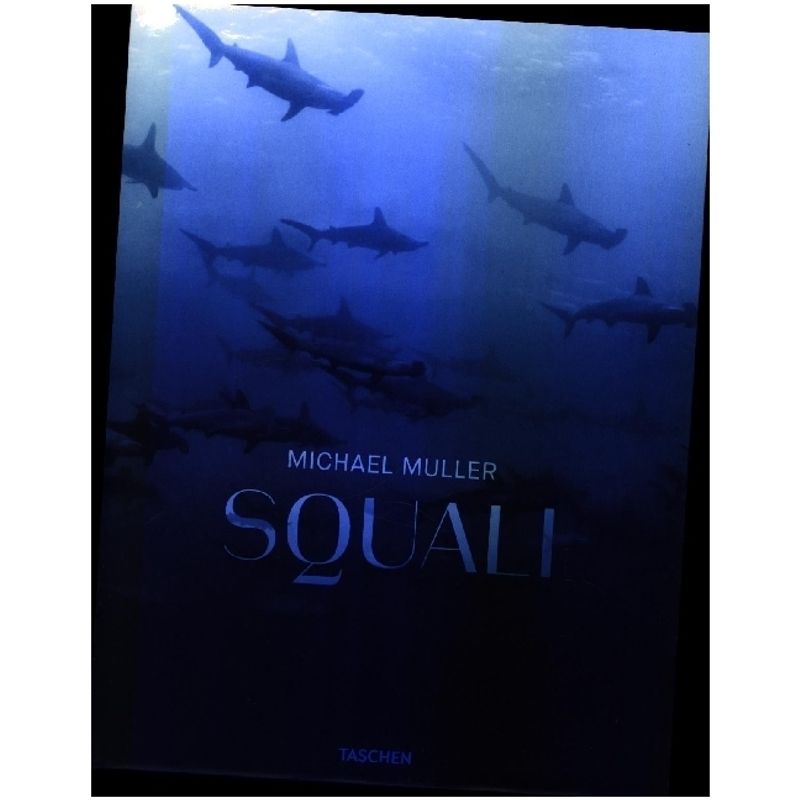 Michael Muller. Squali - Arty Nelson, Dr. Alison Kock, Jr., Philippe Cousteau, Gebunden von Taschen Verlag