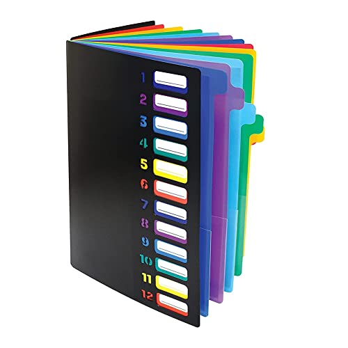 Tassety Fächermappe mit 24 transparenten Fächern, 12 farbige Register, für 300 Blatt, nummerierter Index auf dem Einband, 1 Stück von Tassety