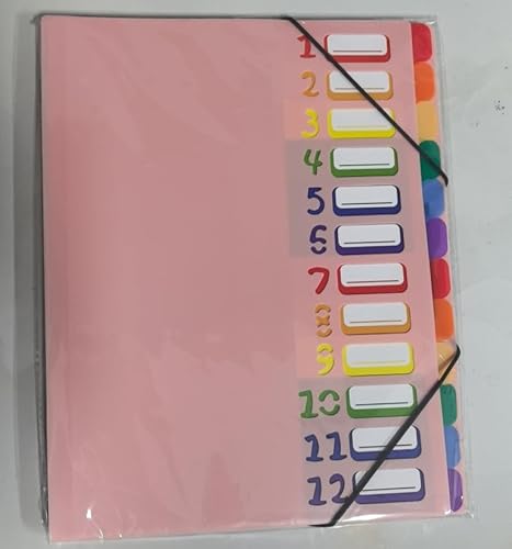 Tatxmalv A4 Dokumentenmappe, Fächermappe, Dokumentenmappe mit 12 Fächer, Mappe Organizer mit Gummizug für Büro Dokumente, Schule Hausaufgaben und Papier, Wasserdicht, mit Etikett (Rosa) von Tatxmalv