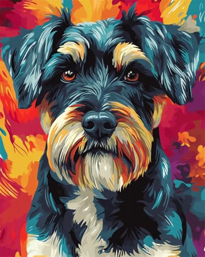 DIY Malen Nach Zahlen Pinsel Set（Diy-Rahmen）Schnauzer Hund Tier Malen-Nach-Zahlen-Sets,Ölgemälde-Set Auf Leinwand,Kunsthandwerk,Acrylpigment,Zeichnung,Malerei Als Geschenk,Wanddekoration 30x40cm von Taxpy