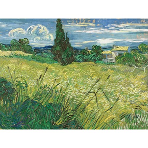 Kreuzstich Stickpackungen Vorgedruckt Set Erwachsene, Landschaft Van Gogh Vorgedrucktes 11Ct Kreuzstich-Stickset Dmc-Fäden Nähen Malen Stricken Handwerk Vorgedruckt Kreuzstich Stickpackung Zum S von Taxpy