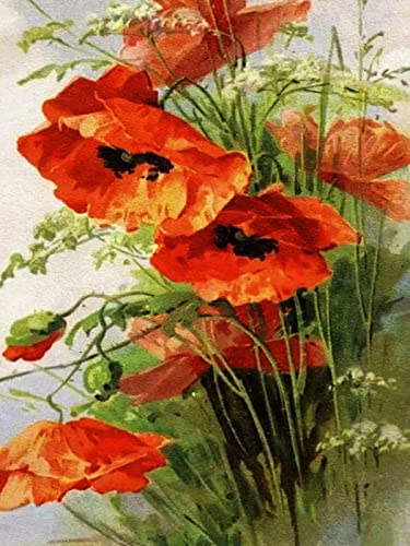 Malen Nach Zahlen Erwachsene Mohn Ölgemälde Nach Zahlen Blume Acrylfarbe Auf Leinwand Handgefertigt, Rahmen Zum Selbermachen, 40 X 50 Cm Malen Nach Zahlen Kits Für Erwachsene Anfänger, Creative Diy von Taxpy