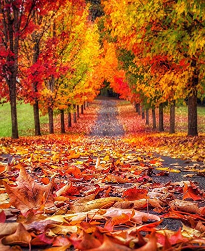 Malen Nach Zahlen Leinwand-Kits Herbstlandschaft Diy Geschenk Erwachsene Malen Nach Zahlen Wald, Rahmen Zum Selbermachen, 50 X 70 Cm Diy Ölgemälde Malen Nach Zahlen Erwachsene Kit Zoll Für Anfänger, von Taxpy