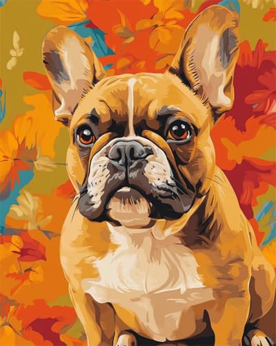 Taxpy DIY Malen-Nach-Zahlen（Diy-Rahmen） Bulldogge Tier Digitales Malen Auf Leinwand,Acrylpigment-Sets Für Die Wanddekoration Für Zuhause Als Geschenk 40x50cm von Taxpy