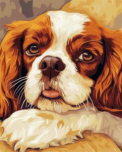 Taxpy DIY Malen-Nach-Zahlen（Diy-Rahmen） Cavalier King Charles Spaniel Tier Malen-Nach-Zahlen-Sets Für Erwachsene,Einfaches Acrylpigment,Zeichnung,Malerei,Wanddekoration Für Zuhause 40x50cm von Taxpy