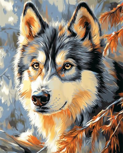 Taxpy DIY Malen-Nach-Zahlen（Kein Rahmen） Husky Hund Tier Malen-Nach-Zahlen-Sets,Ölgemälde-Set Auf Leinwand,Kunsthandwerk,Acrylpigment,Zeichnung,Malerei Als Geschenk,Wanddekoration Für Zuhause 50x70cm von Taxpy