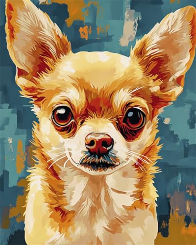 Taxpy Diy Stickbilder Erwachsene Chihuahua Hund Tier Diy-Perlenstickerei, Gestempeltes Perlen-Kreuzstich-Set, Geschenk Für Freunde 40x50cm Taxpy Diy Stickbilder Erwachsene Chihuahua Hund Tier Diy-Perlenstickerei, Gestempeltes Perlen-Kreuzstich-Set, Geschenk Für Freunde 40x50cm von Taxpy